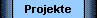  Projekte 